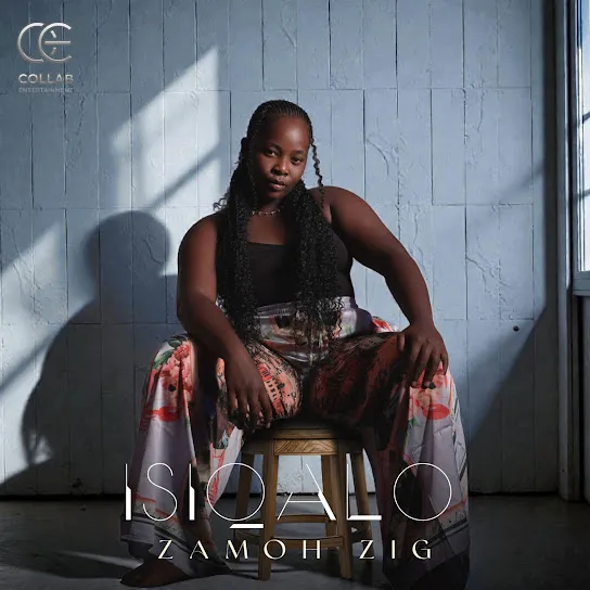 Zamoh Zig  It's Too Late Mp3 Download
