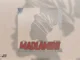 DoouShii and Scotts Maphuma  MaDlamini Ft. Scotts Maphuma, Mellow & Sleazy Mp3 Download