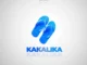 DopeNation  Kakalika Mp3 Download