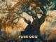 Fuse ODG  With Love and Power (Outro) Mp3 Download