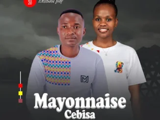 Mayonnaise Cebisa  ANGISAFUNI Ft. Nzunzo we Zihlabani & Snakhokonke Xulu Mp3 Download