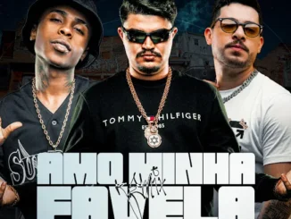Mc Meno K  Amo Minha Favela (Remix) Ft. Dj Japa NK & Peterson Fersa Mp3 Download