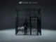 NF  If You Want Love Mp3 Download