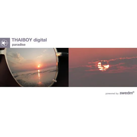 Thaiboy Digital  Destiny Ft. swedm® Mp3 Download