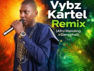 Zikiri Sourakata Koné  Seydou Bah Vybz Kartel Mp3 Download