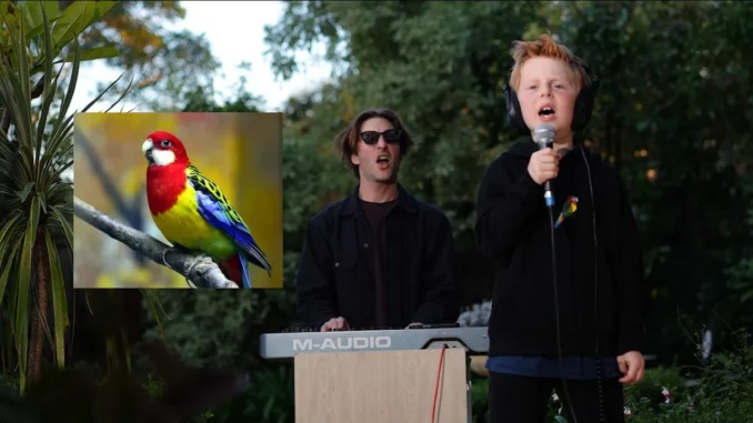 Joel Phillips  Eastern Rosellas Song by Miles Phillips (and Dad) Mp3 Download