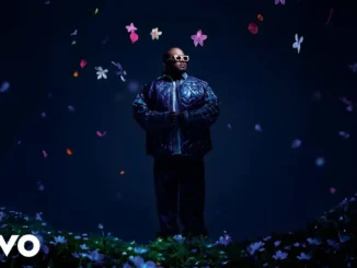 Chronical Deep  Zizwe (Visualizer) Mp3 Download