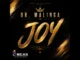 Dr Malinga Joy  Ft Calvin Da Dj Mp3 Download